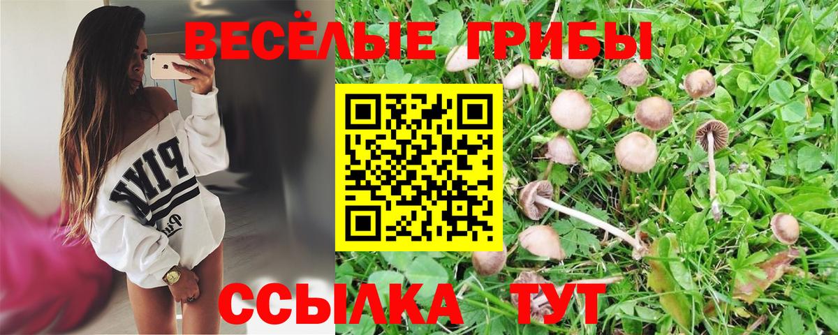 Галлюциногенные грибы Psilocybine cubensis  Вход с VPN  Лосино-Петровский 